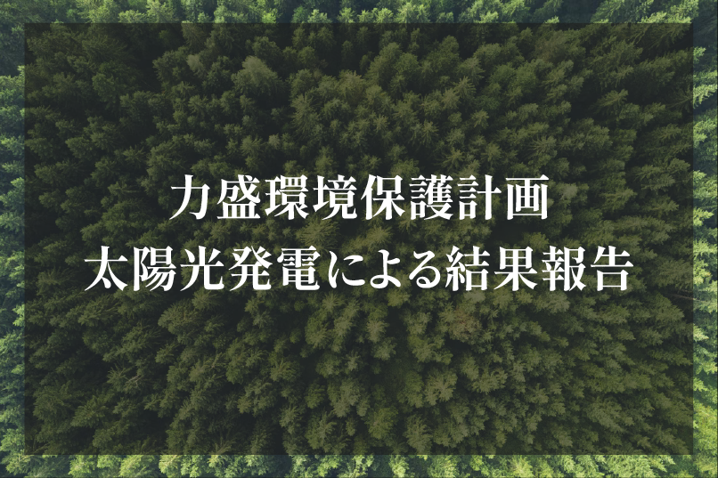 11月分の太陽光発電による結果報告